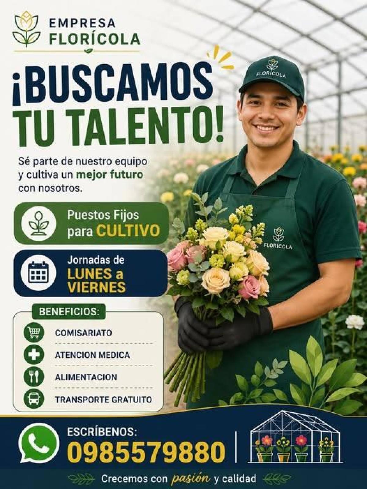 Sé parte de nuestro equipo y cultiva un mejor futuro con nosotros. 🌱 puestos fijos para cultivo en Pichincha