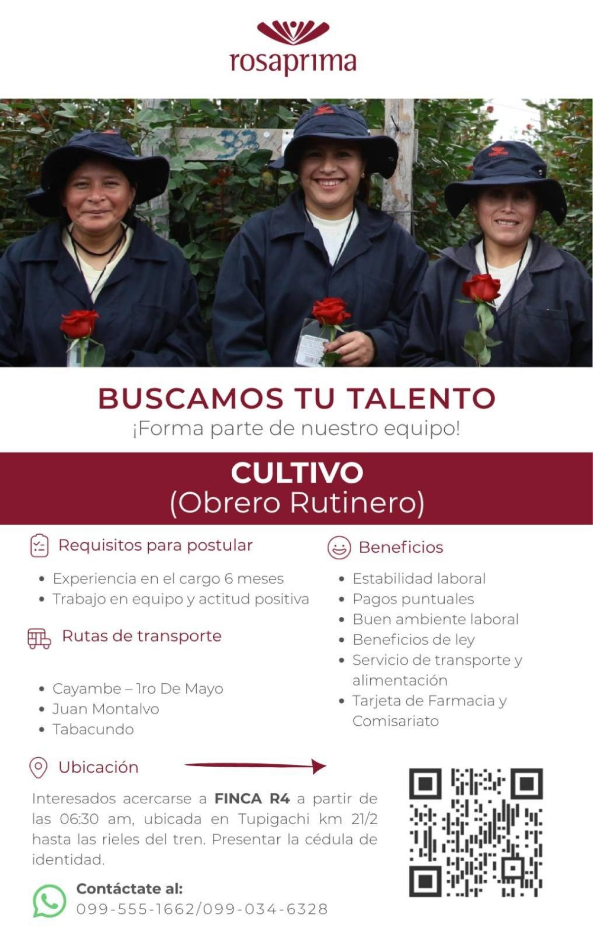 ¡forma parte de nuestro equipo! cultivo (obrero rutinero) en Pichincha
