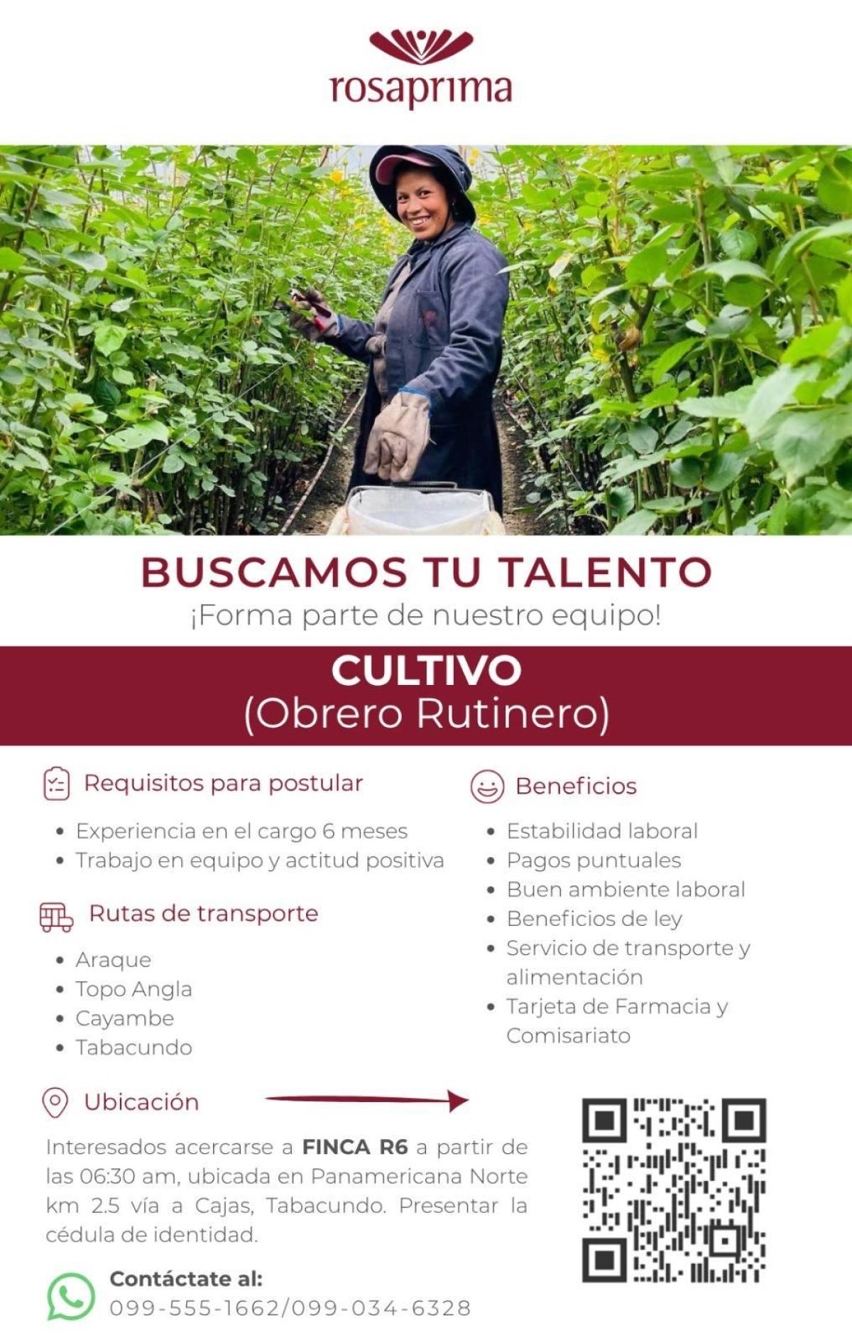 ¡forma parte de nuestro equipo! cultivo (obrero rutinero) en Pichincha