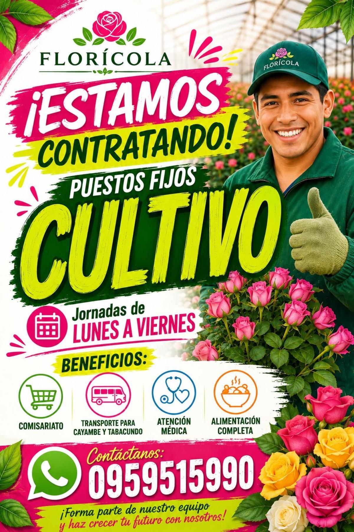 Estamos contratando! cultivadores puestos fijos en Pichincha