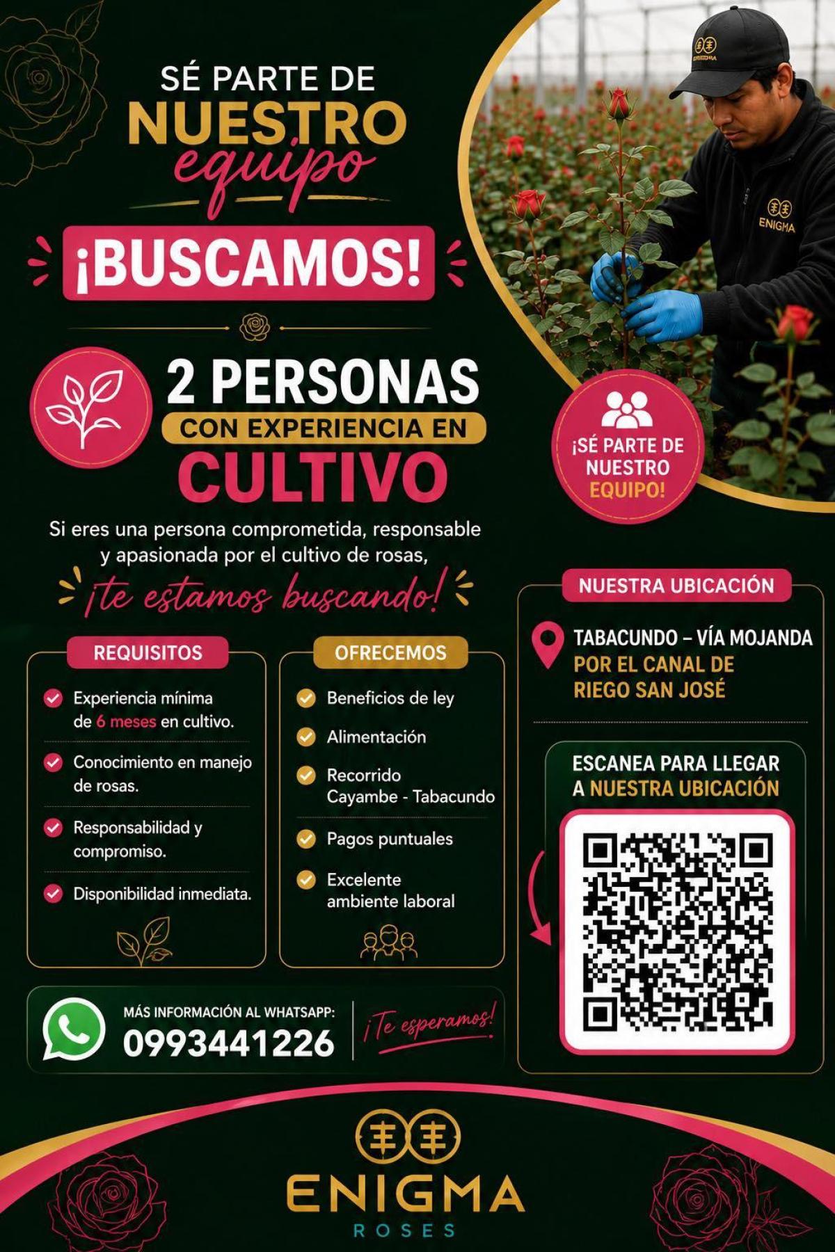 ¡buscamos!  2 personas con experiencia en cultivo en Pichincha